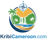 kribicameroon.com website logo (transparent)